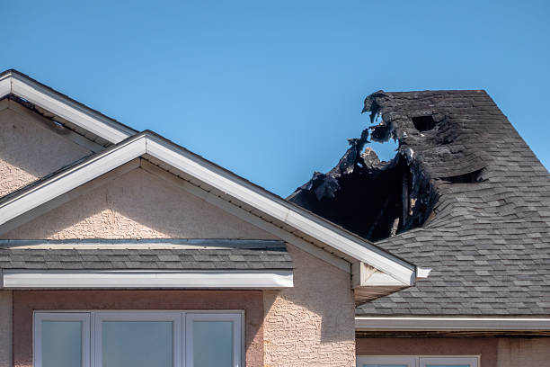 Top rated local Smoke Damage Removal specialists in Anna Maria, FL